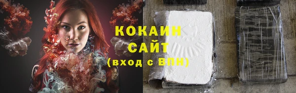 прущие грибы Богородск
