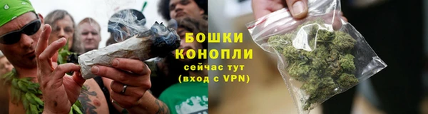 бошки Богданович