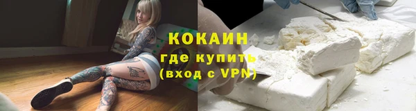mdpv Богородицк